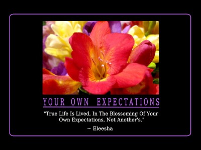 ~ What To Expect Now You Are Here ~