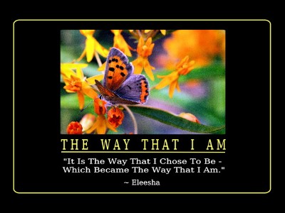 ~ Life Transforming Inspiration ~