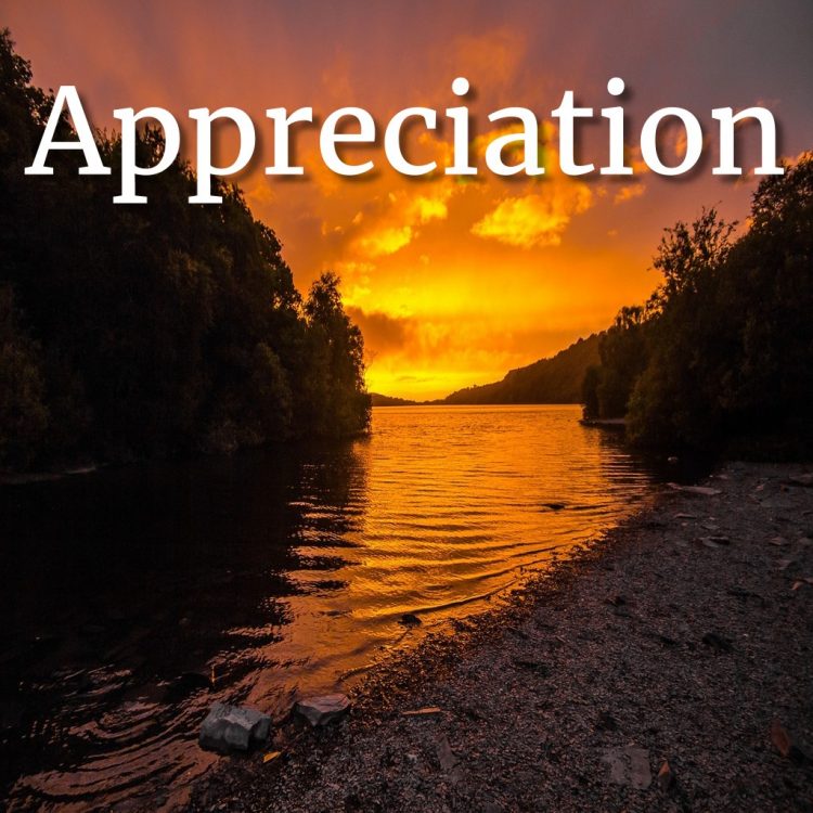 #Appreciation Quotes and Affirmations - Eleesha.com