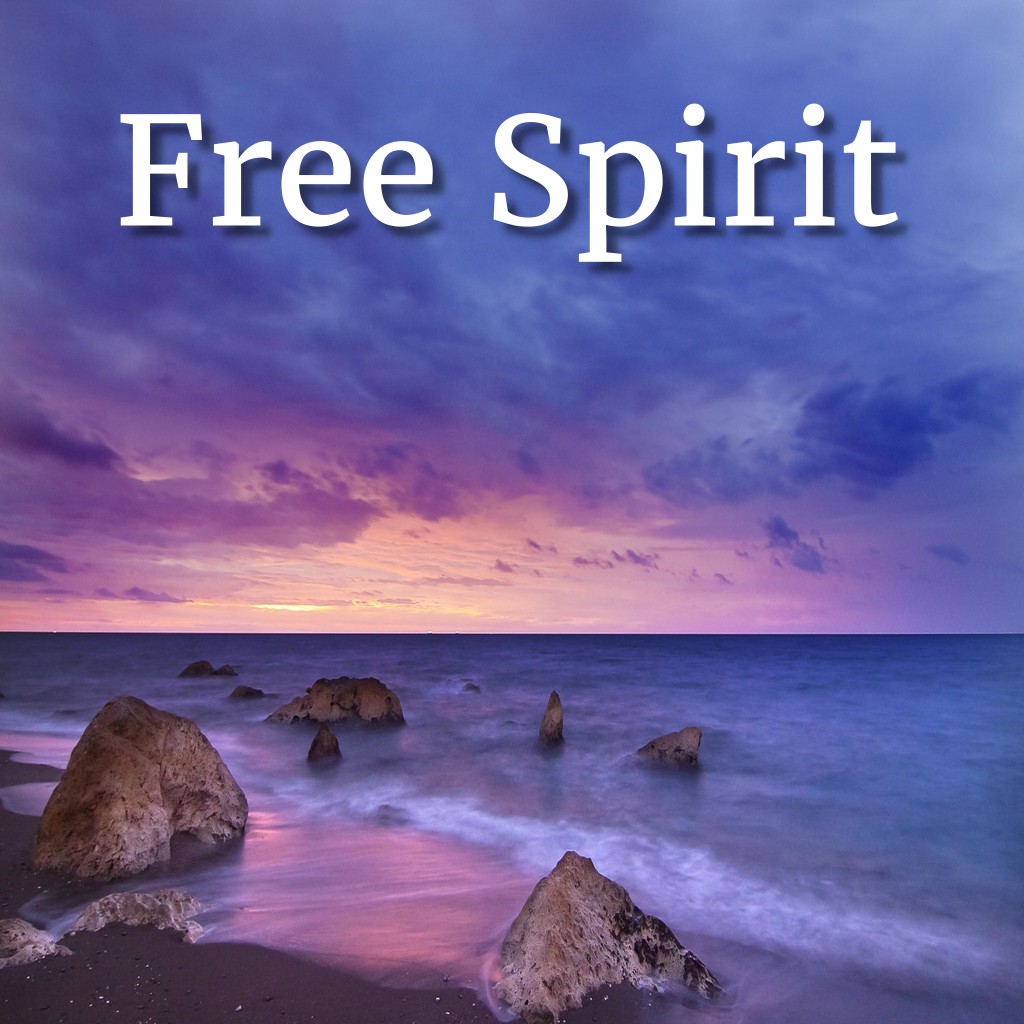 I'm a free spirit  Free spirit quotes, Spirit quotes, Quotes