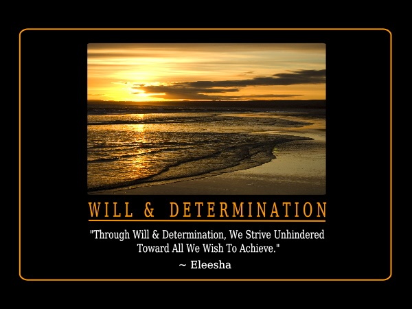 Will And Determination