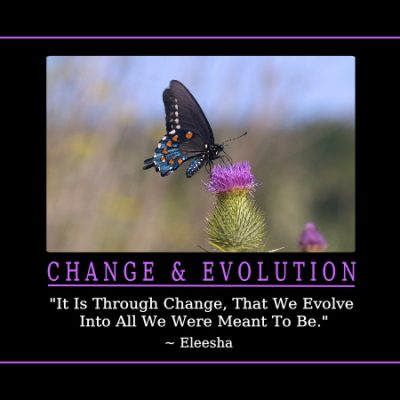 Change & Evolution